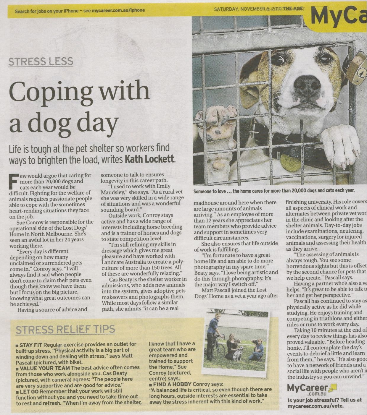 Lost Dogs' Home staff share their thoughts on coping with stress in The  Age's 'MyCareer' - Lost Dogs Home