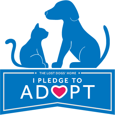 I pledge to adopt logo