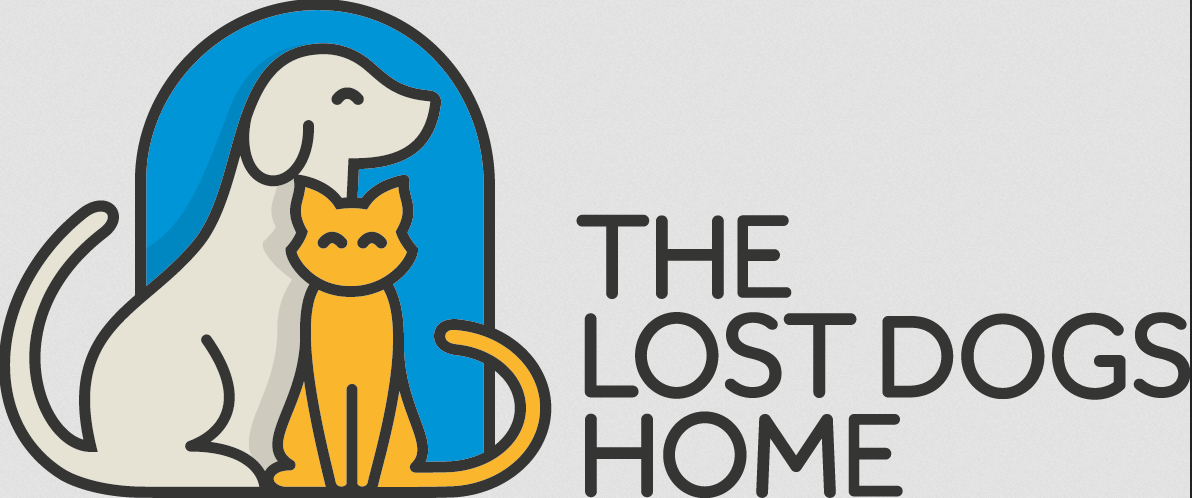 lost dogs home surrender