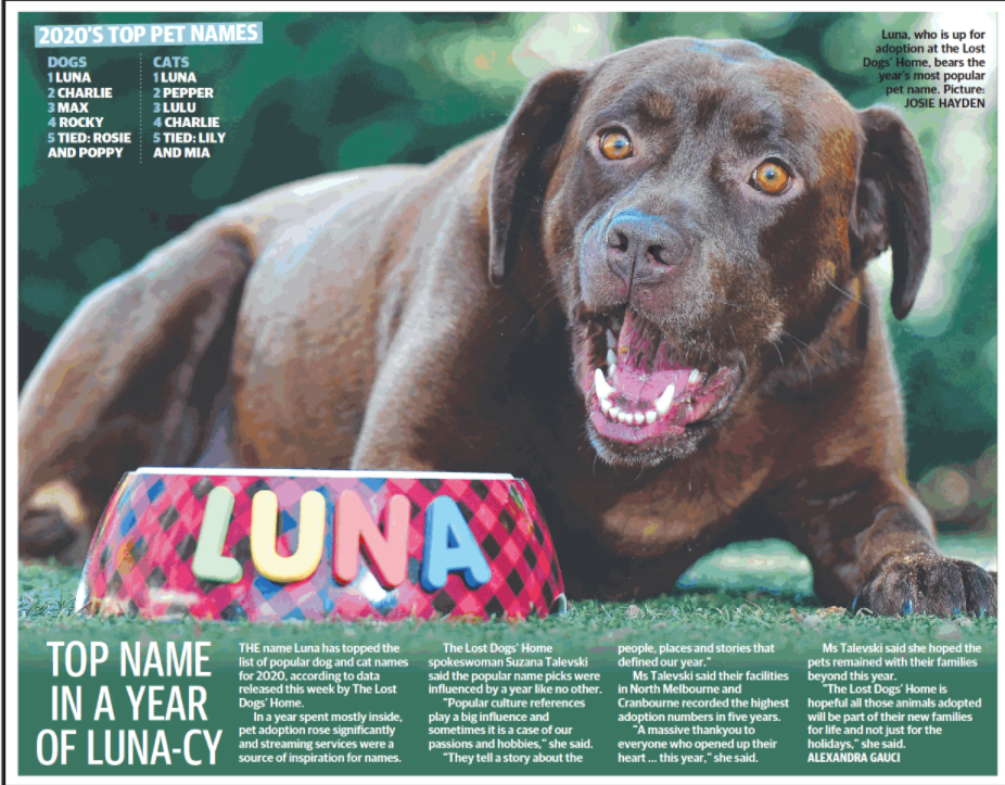 Herald Sun Top Pet Names 2020 