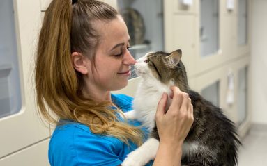 A woman in blue uniform cuddles a tabby and white cat in the adoptions centre.