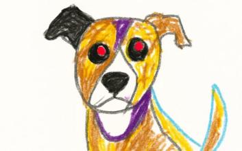 dog adoption photo