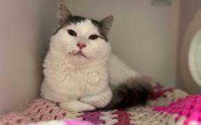 Philbert
